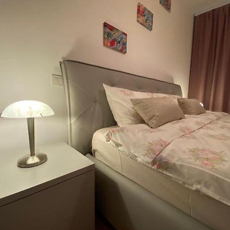 Central Apartment Timisoara Exterior photo