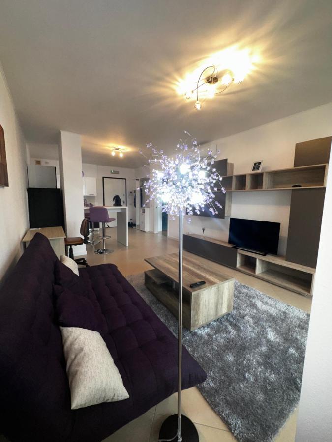 Central Apartment Timisoara Exterior photo