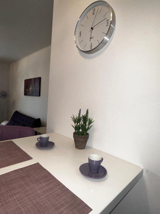 Central Apartment Timisoara Exterior photo