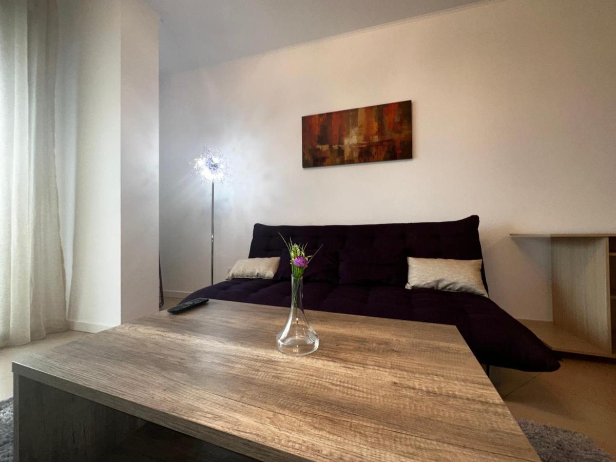 Central Apartment Timisoara Exterior photo
