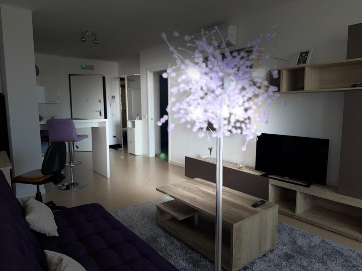 Central Apartment Timisoara Exterior photo